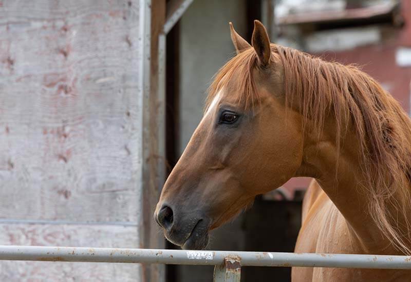 How much do your services cost?