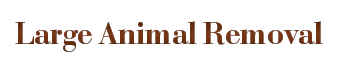 Large Animal Removal
